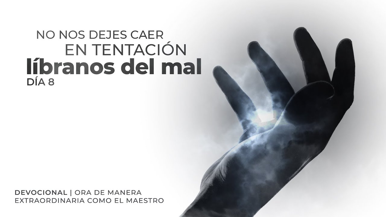 Día 8