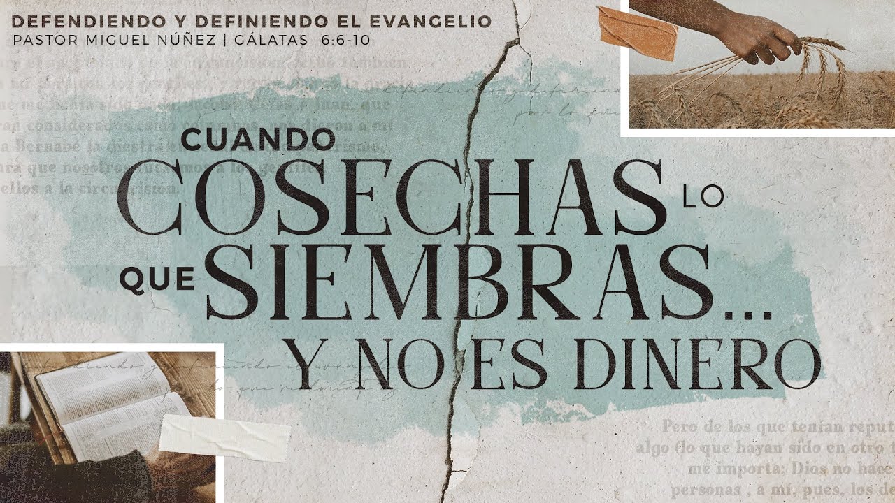 Cuando cosechas lo que siembras... y no es dinero