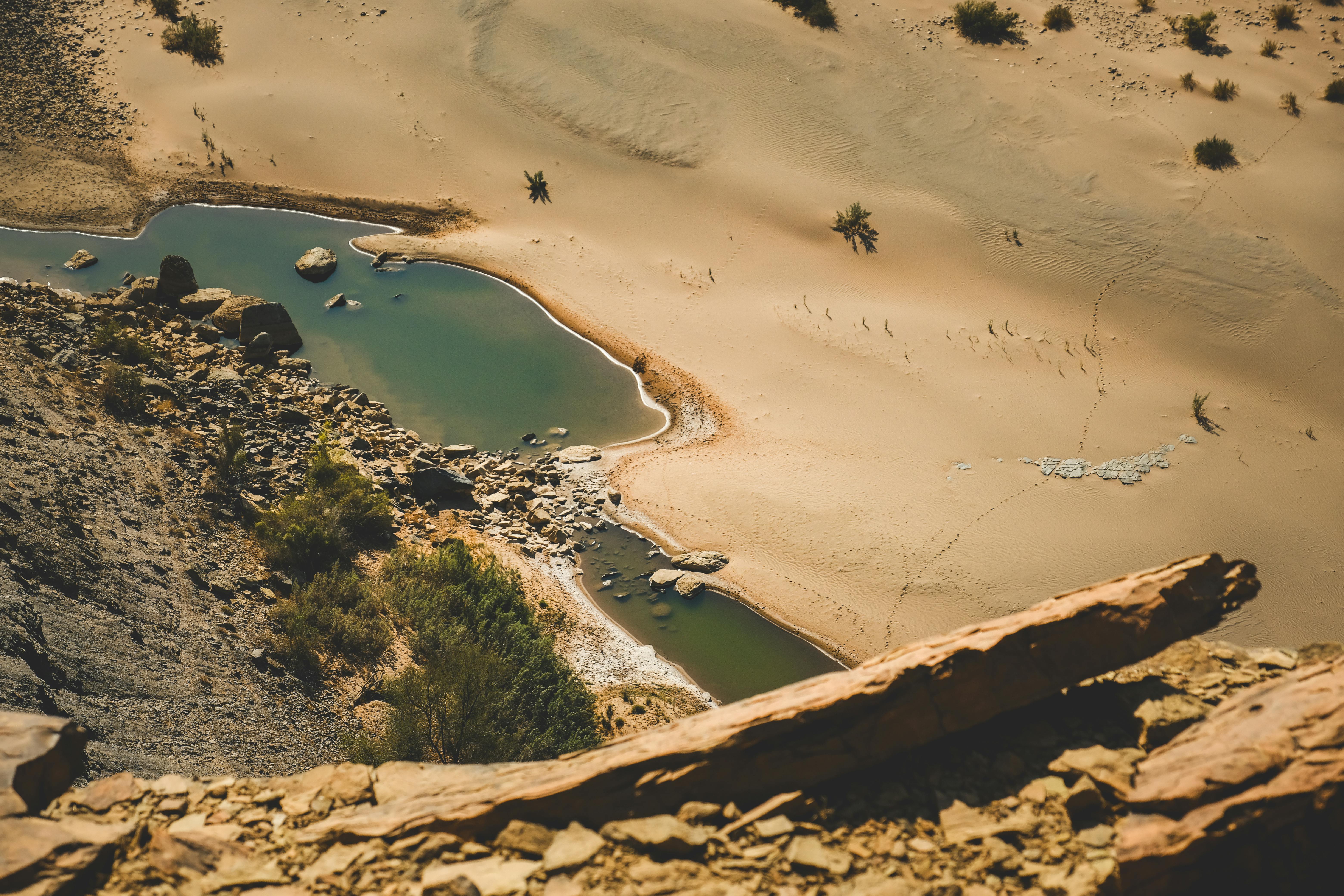 Arroyos en el desierto: Encontrar esperanza en las estaciones secas