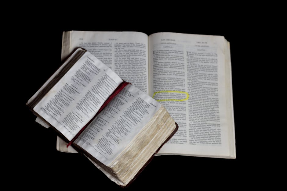 Cristo en toda la Escritura: la Palabra de Dios da testimonio de Cristo
