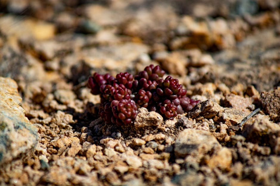 Dando fruto a pesar de las circunstancias