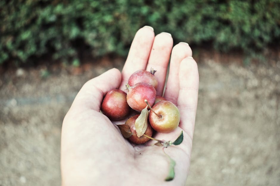 El fruto del Espíritu nos apunta a Cristo