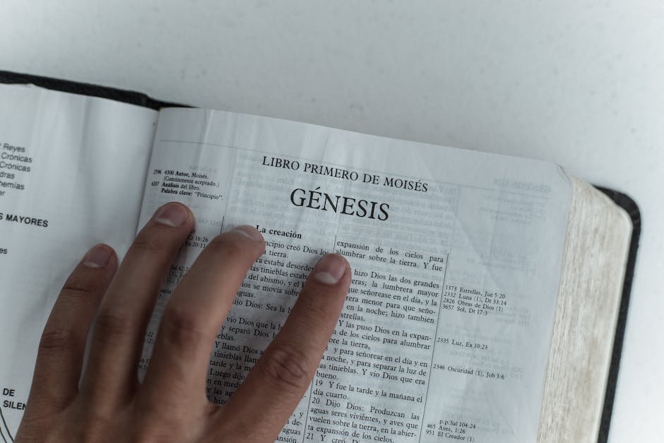 La importancia del contexto al leer la palabra