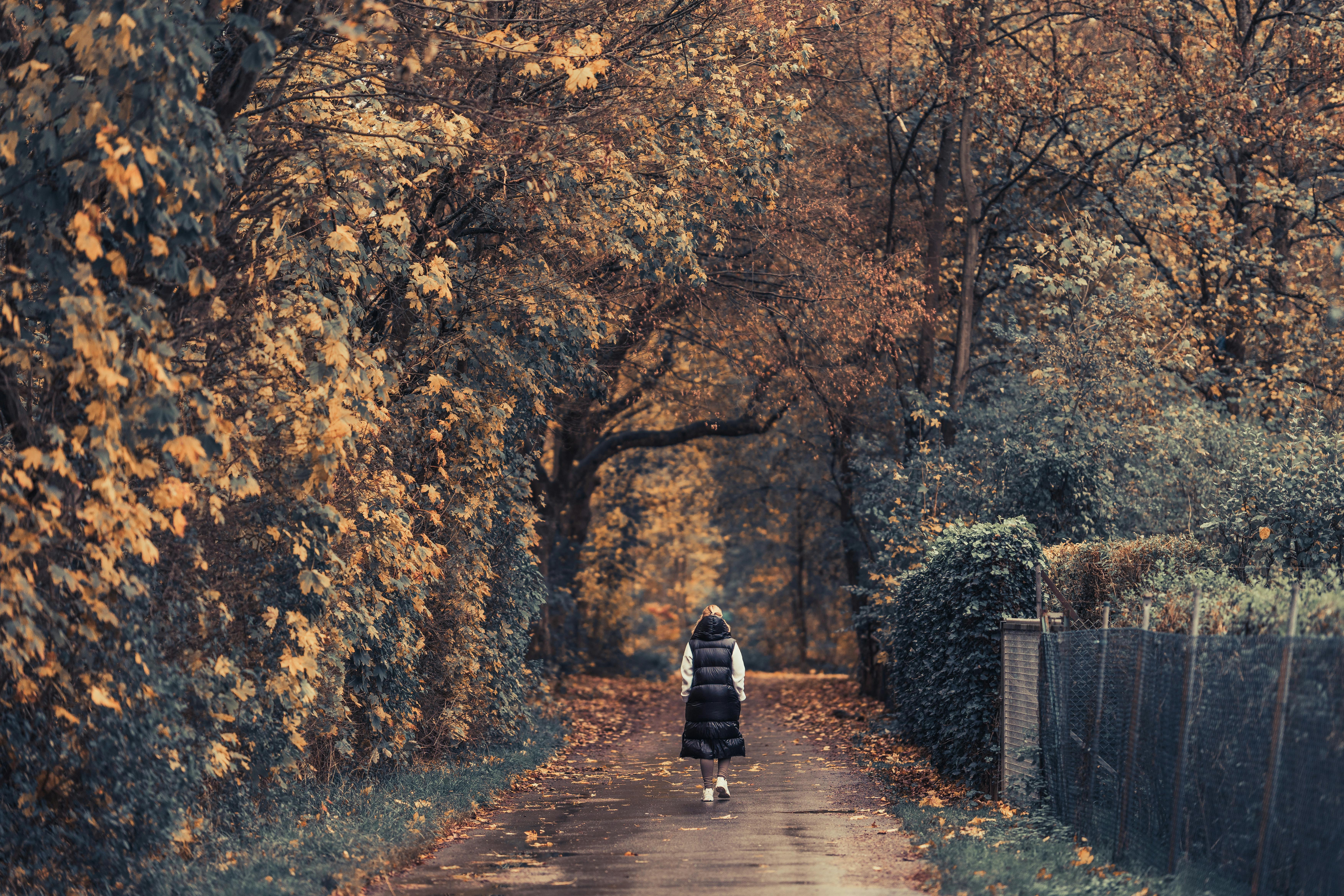 Mujer de fe: Caminando en el propósito de Dios
