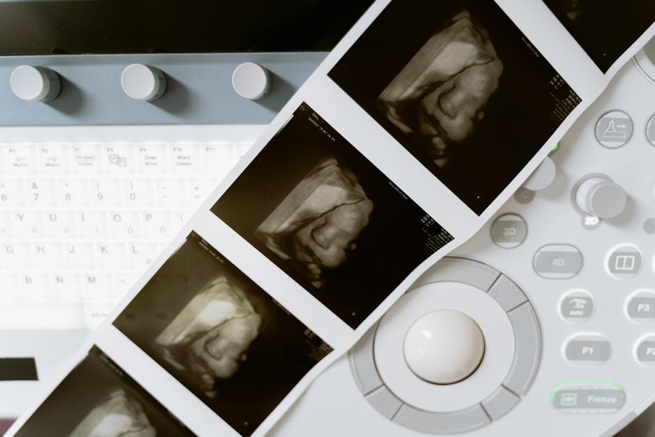 A propósito del debate sobre el aborto: un análisis genético, médico y ético