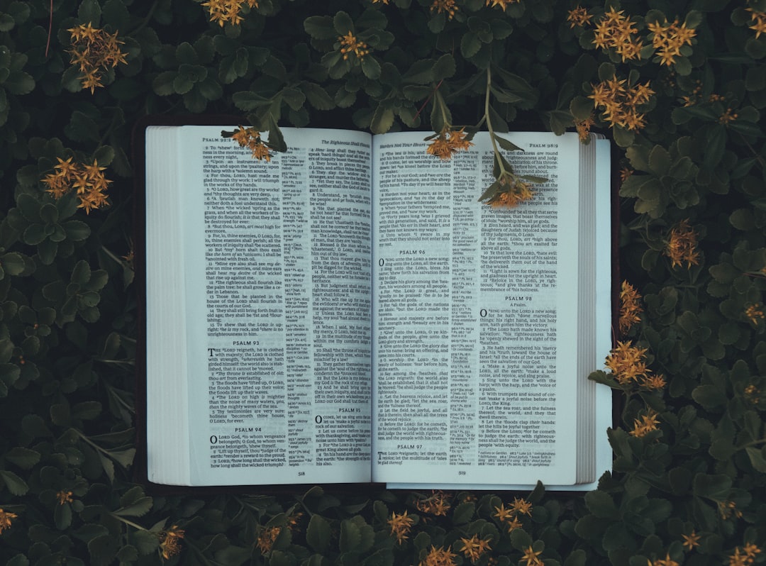 Seguir el “Camino” conlleva carga, ¡pero en Jesús se aligera!
