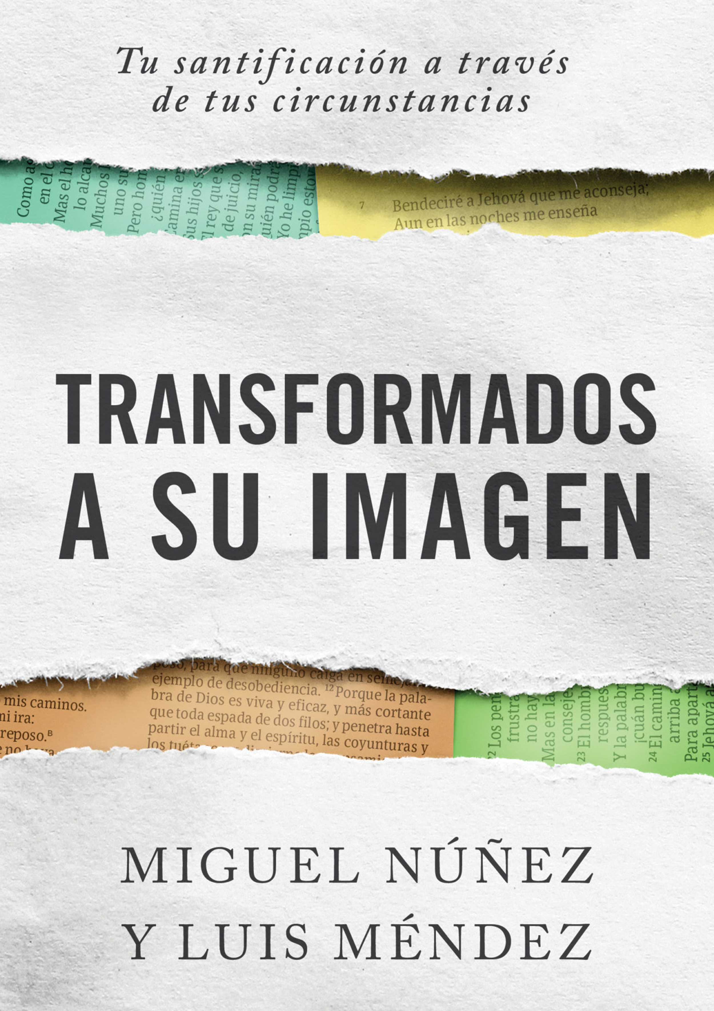 Transformados a Su imagen